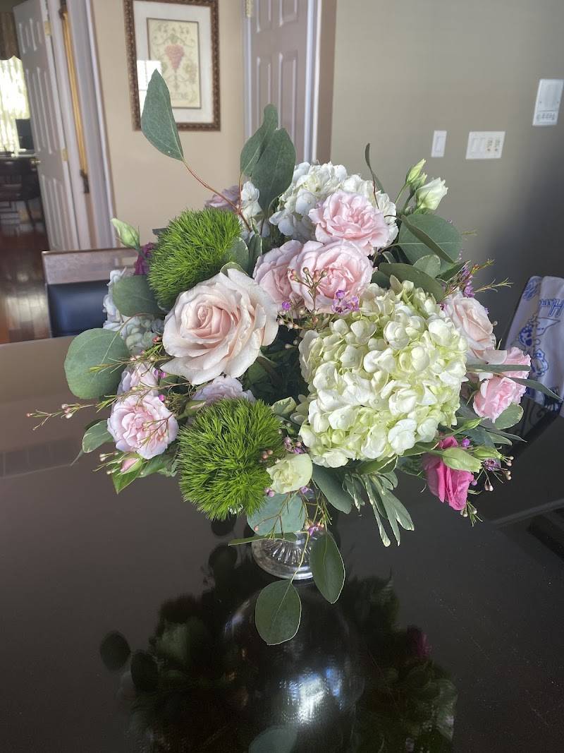 Chester's Plants & Flowers