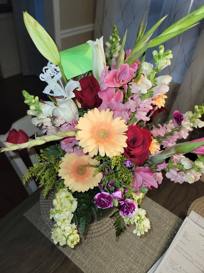 Chester's Plants & Flowers